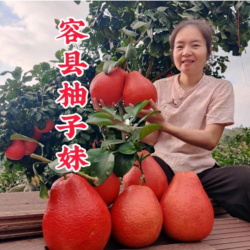 果农侠容县飞雁商贸有限公司园艺专卖店