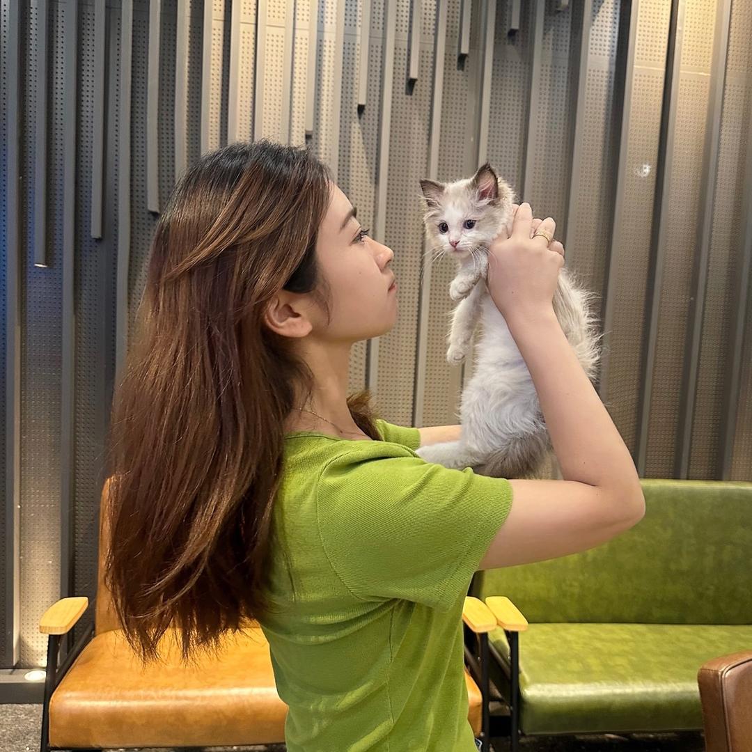 一闪一闪亮婧婧