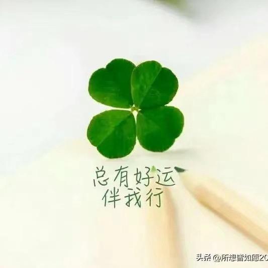 一粒尘埃