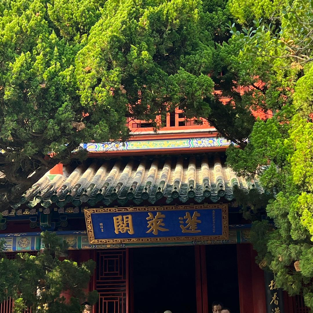 虚竹竹