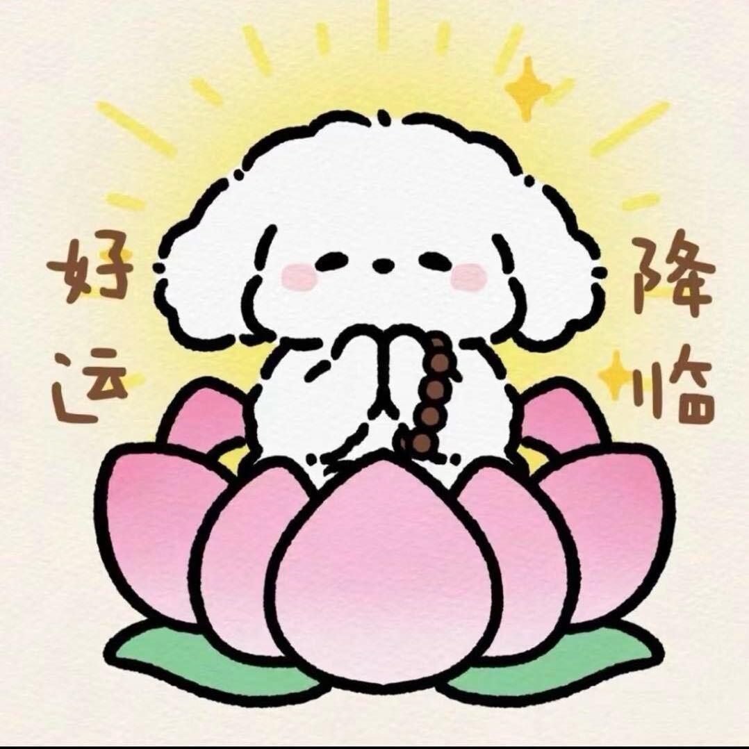 福多多🐟