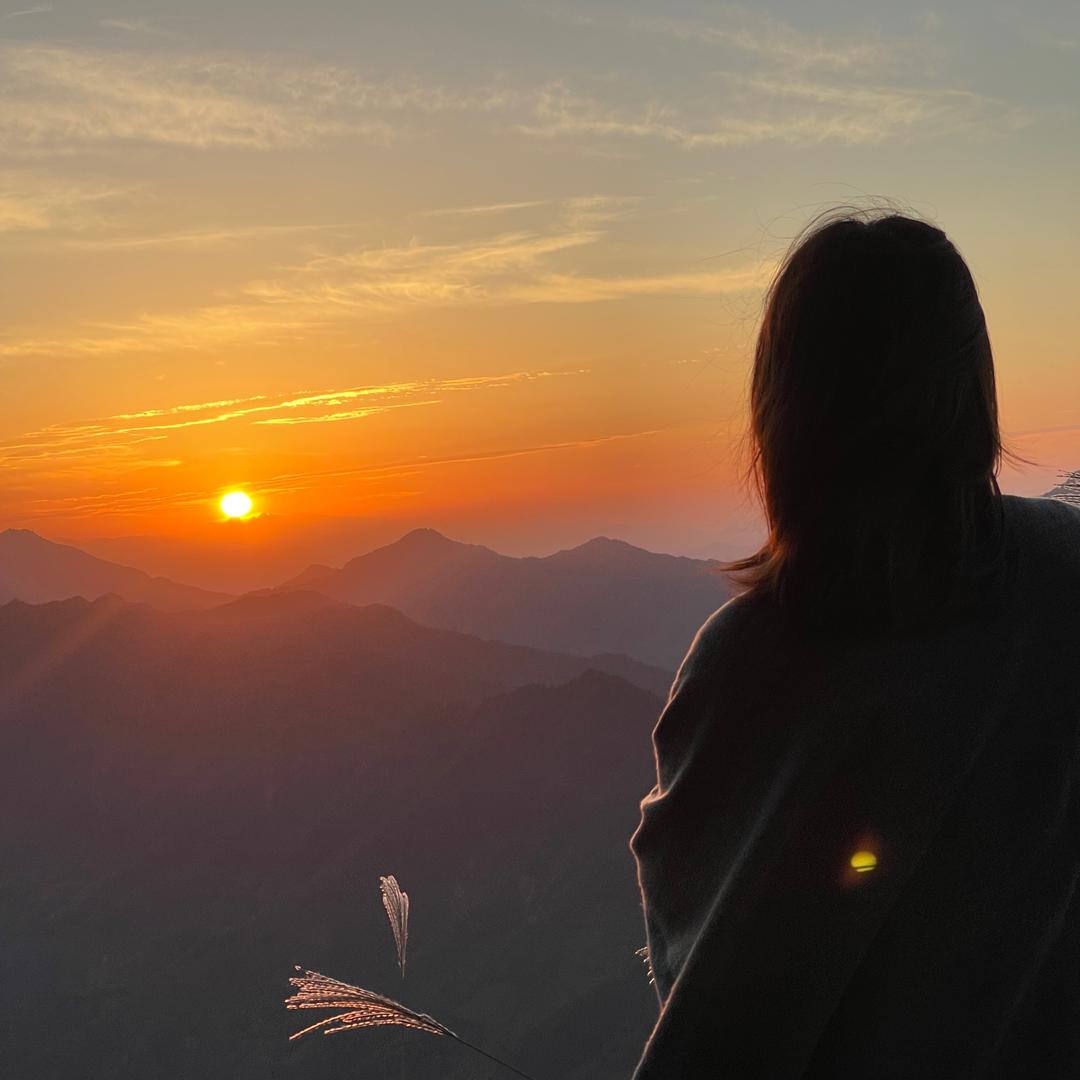 番茄不炒蛋 🍅