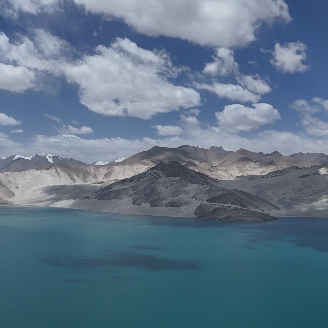 隐世神龙李大帅