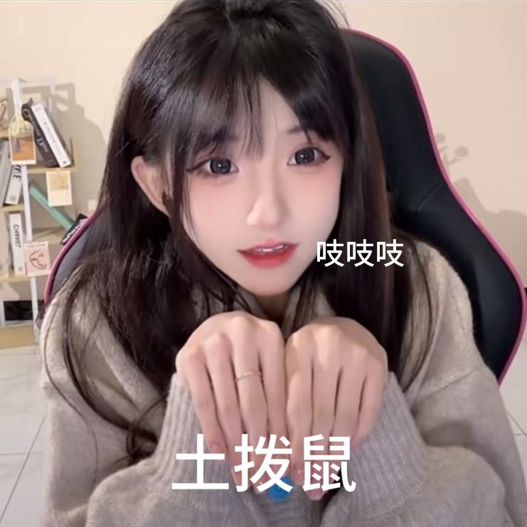 禅游月月