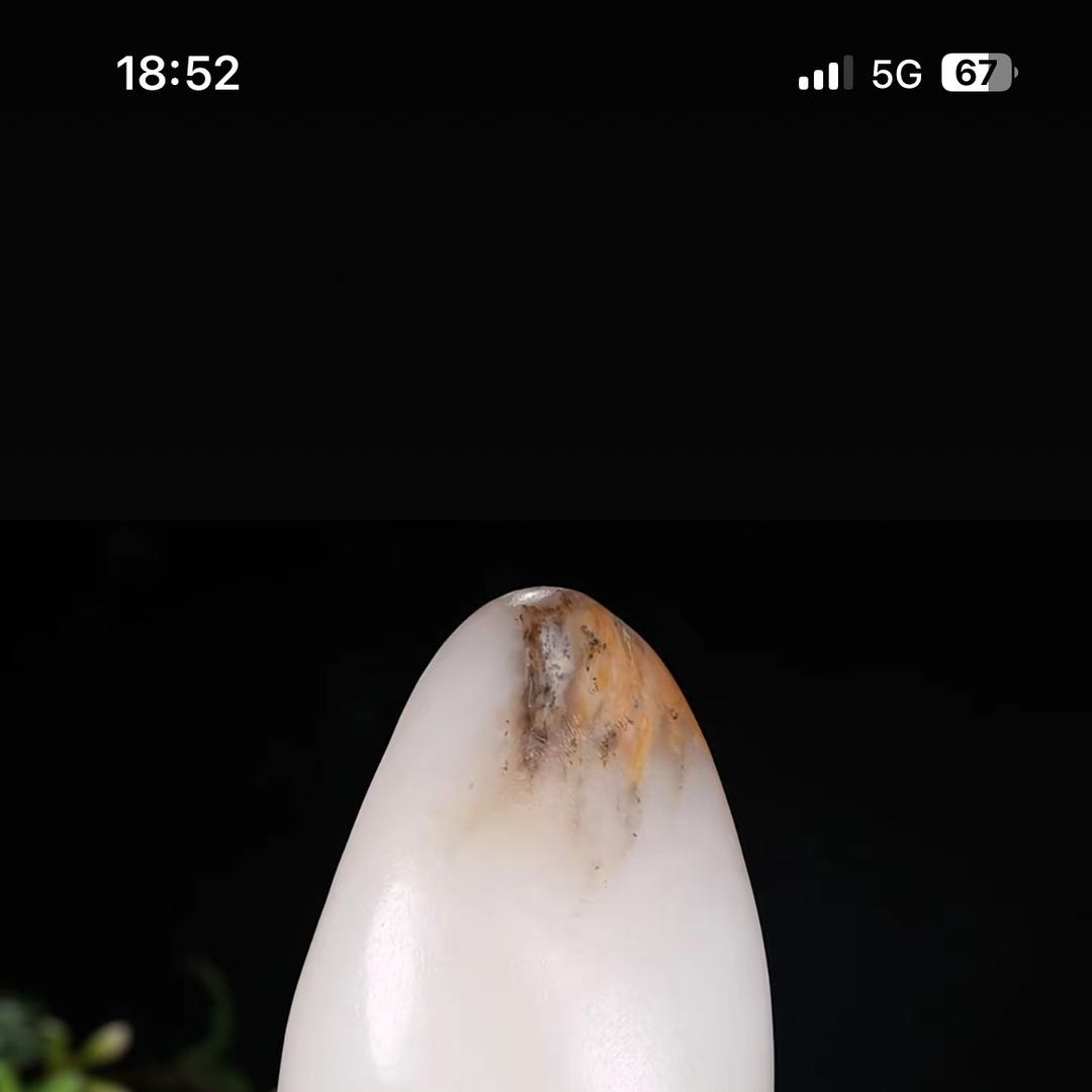 籽玉优选89