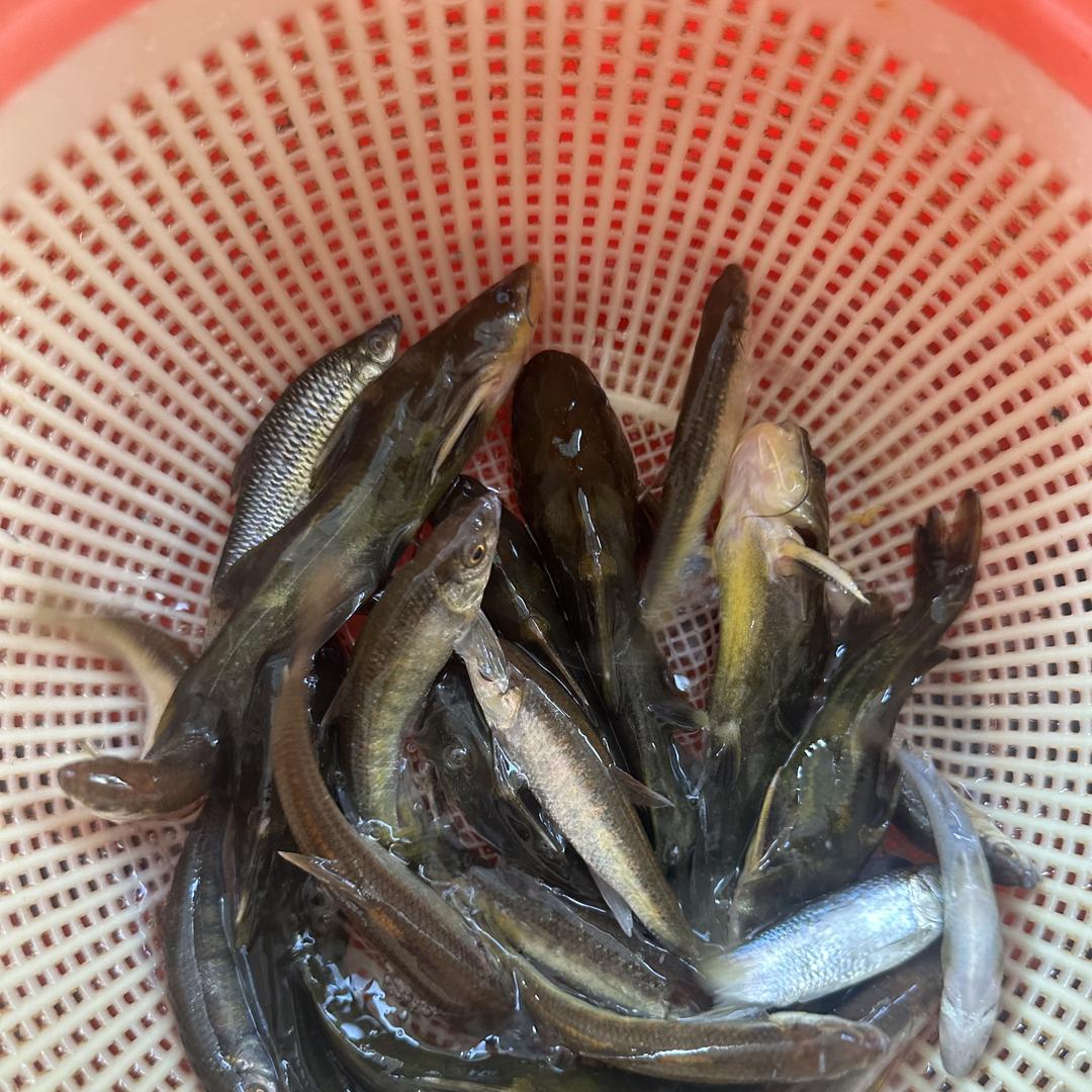 桂林水特产
