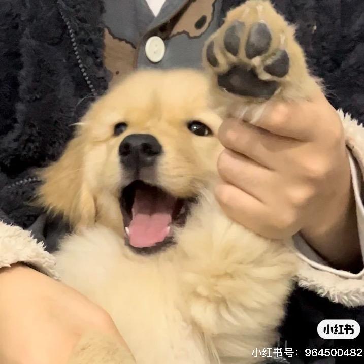 ㎕