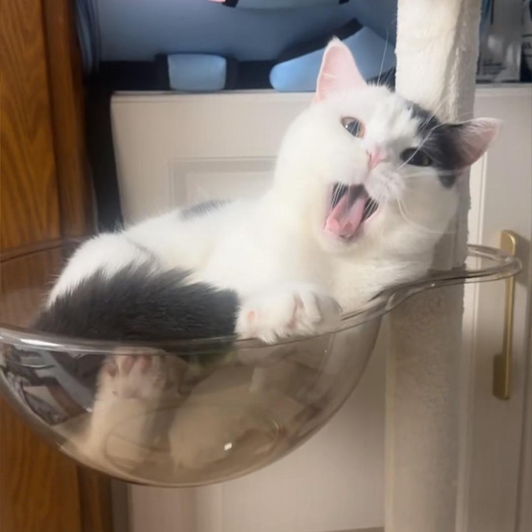阿水。