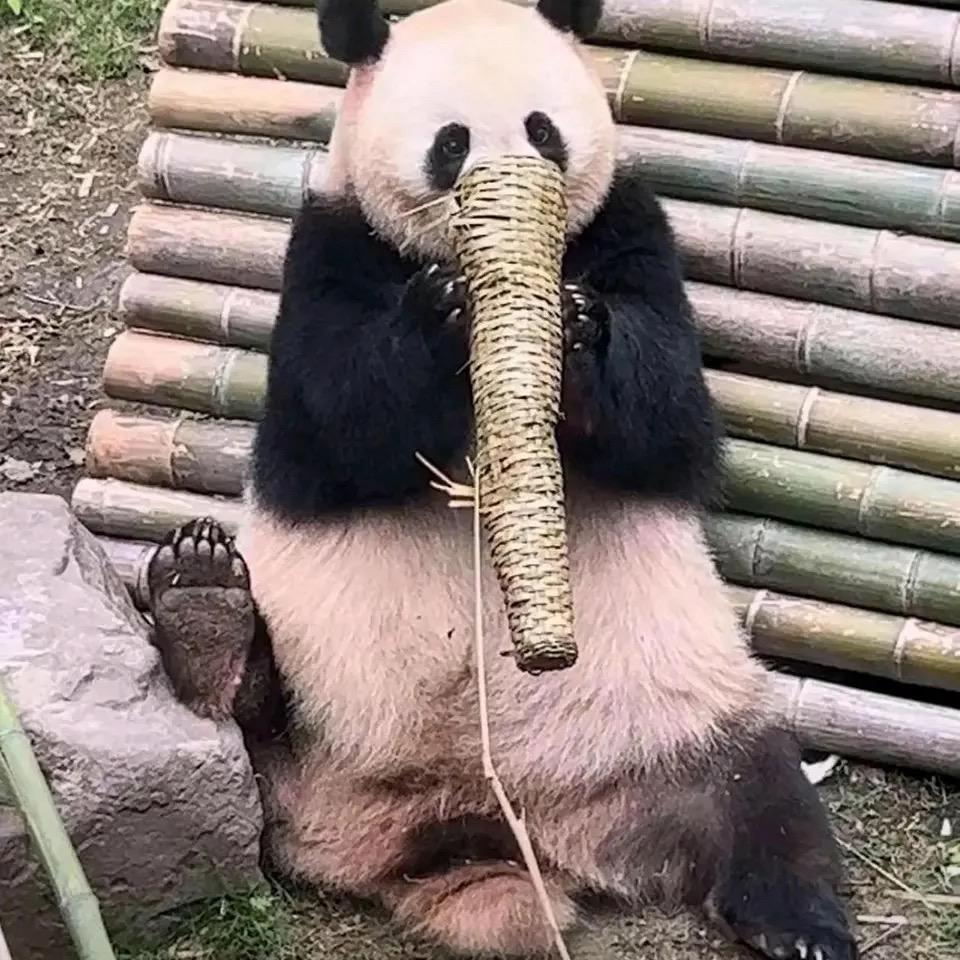 烟台澳美达汽车