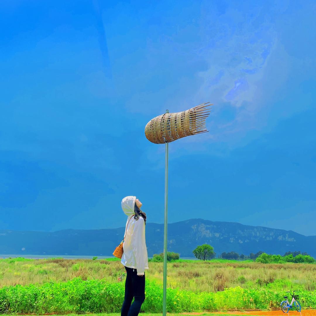 逍遥游 旅游的游