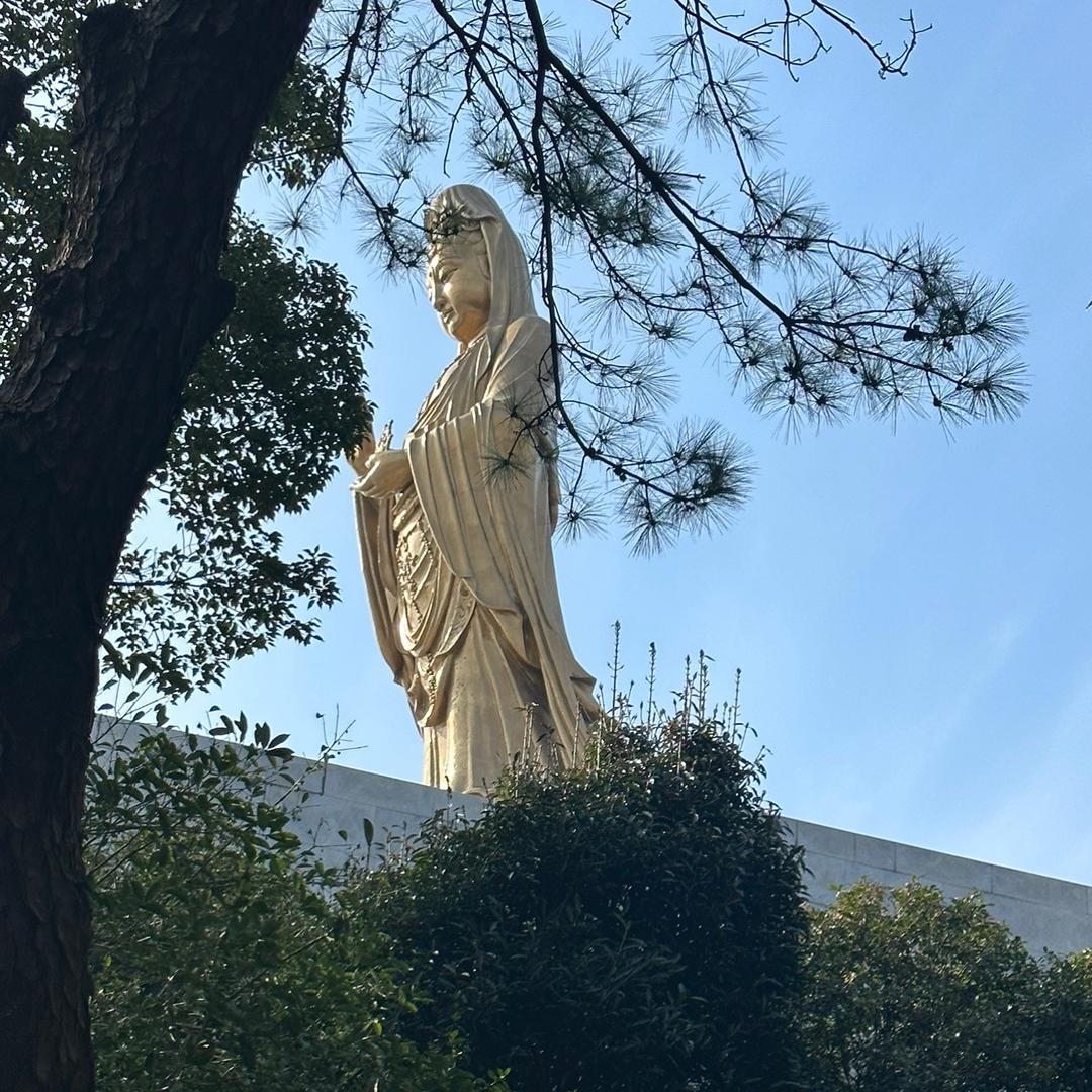 土建钢构工程人