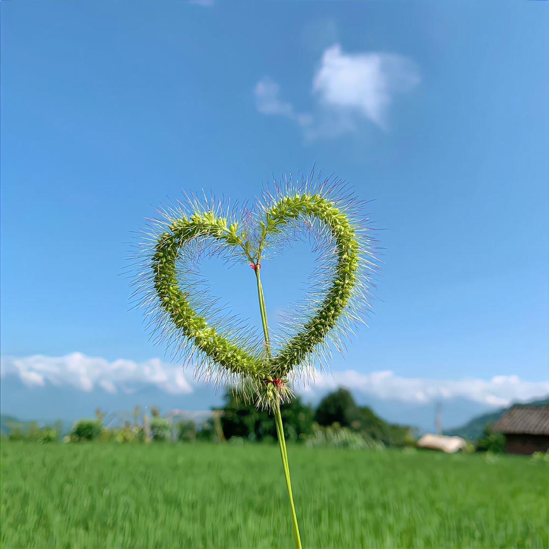守望！
