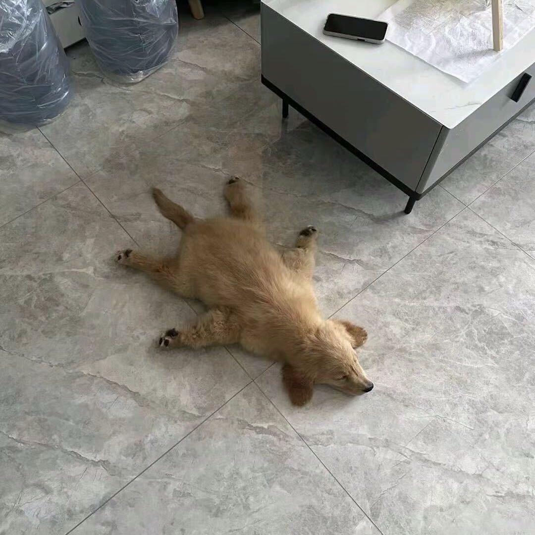 泪无痕