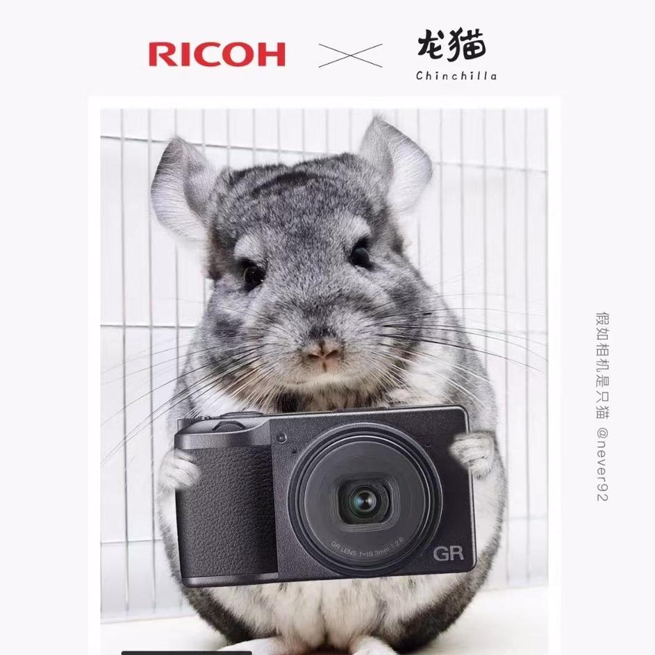 🌈无界游乐场📸