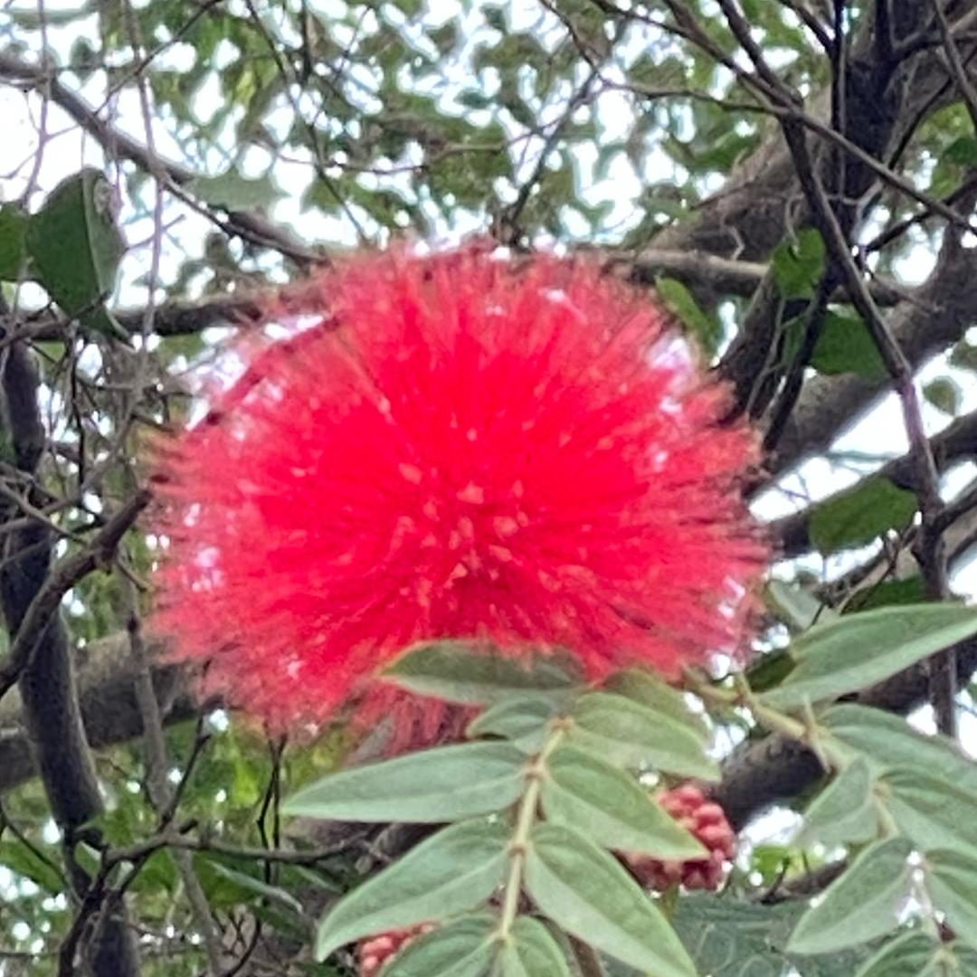 好梦