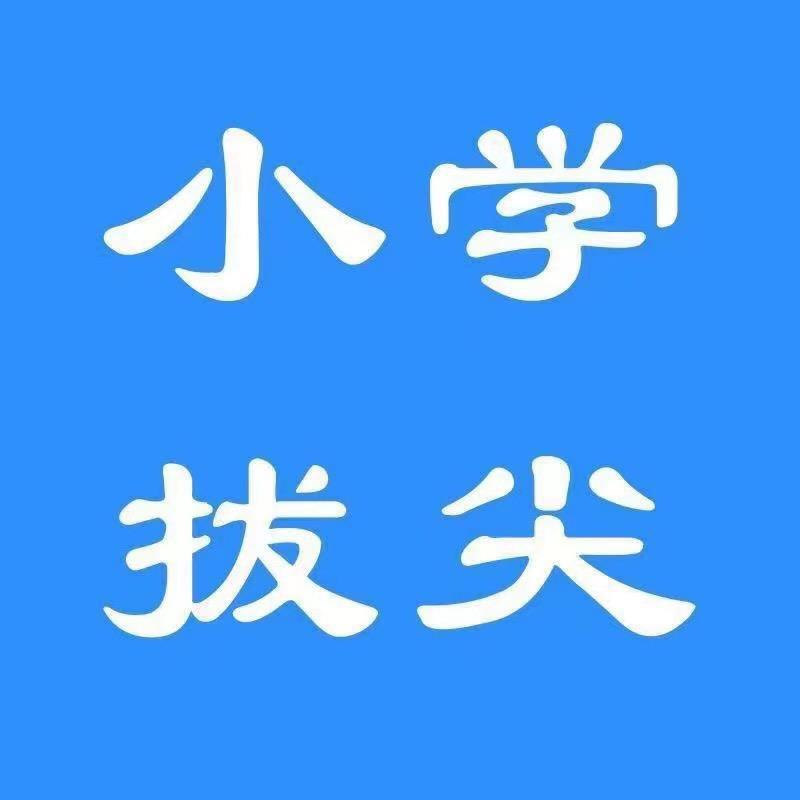 小恒二升三年级~小学拔尖资料库¹