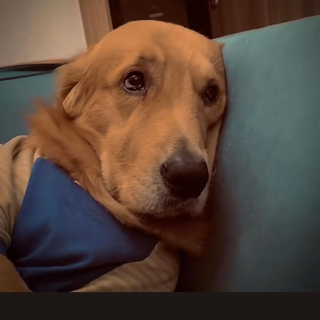 加鲁鲁