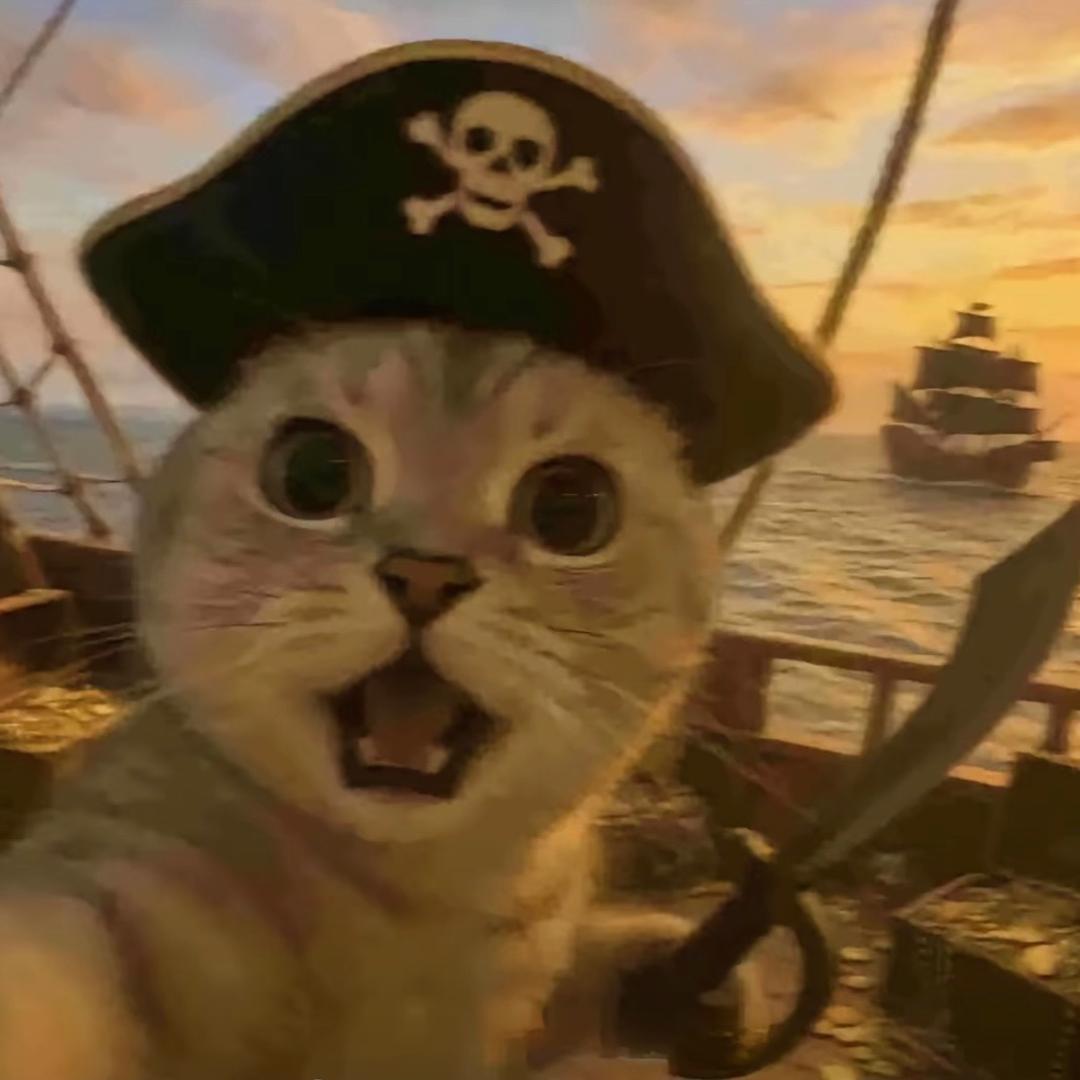 战斗的猫