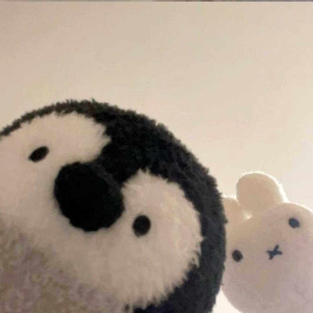 🐑🍉
