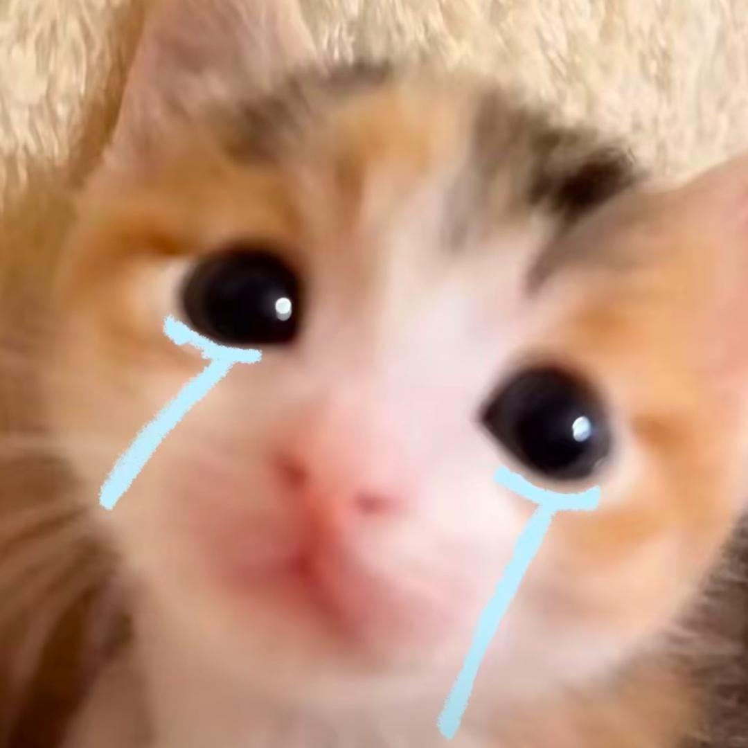 睡不饱