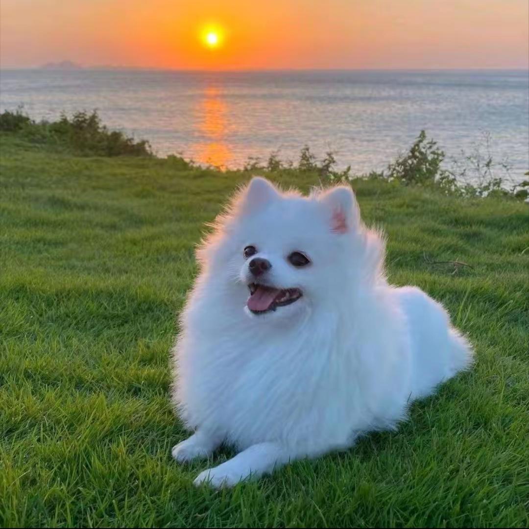 鮟靜僦恏、
