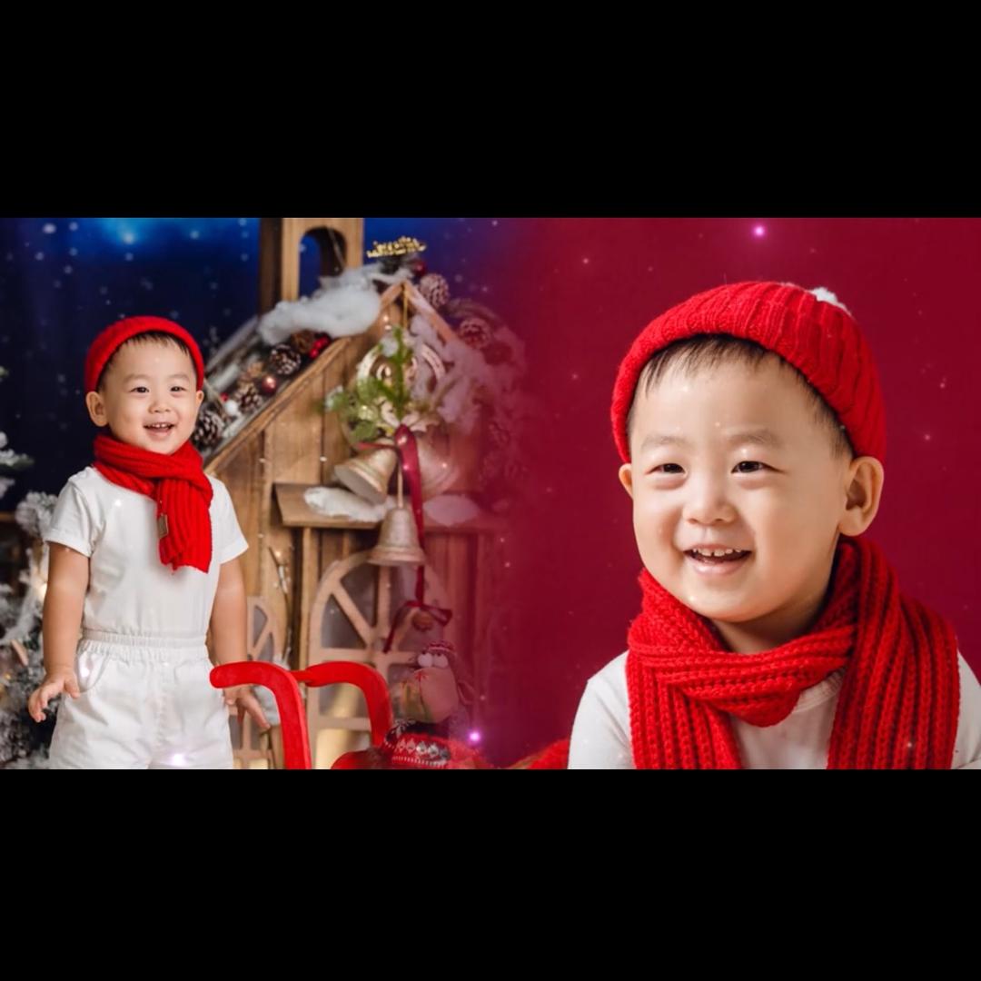 紫色小斑马