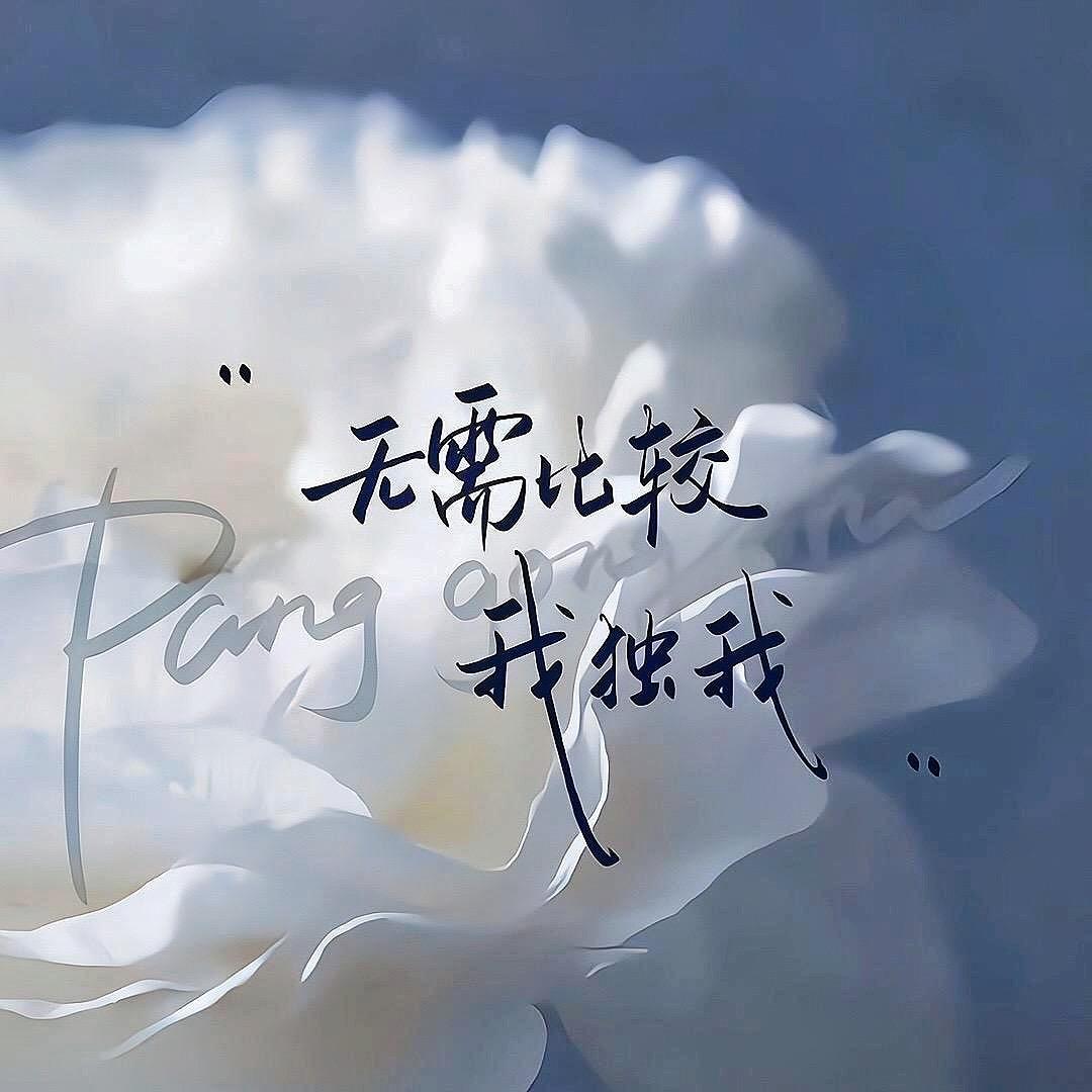 懒、杨杨