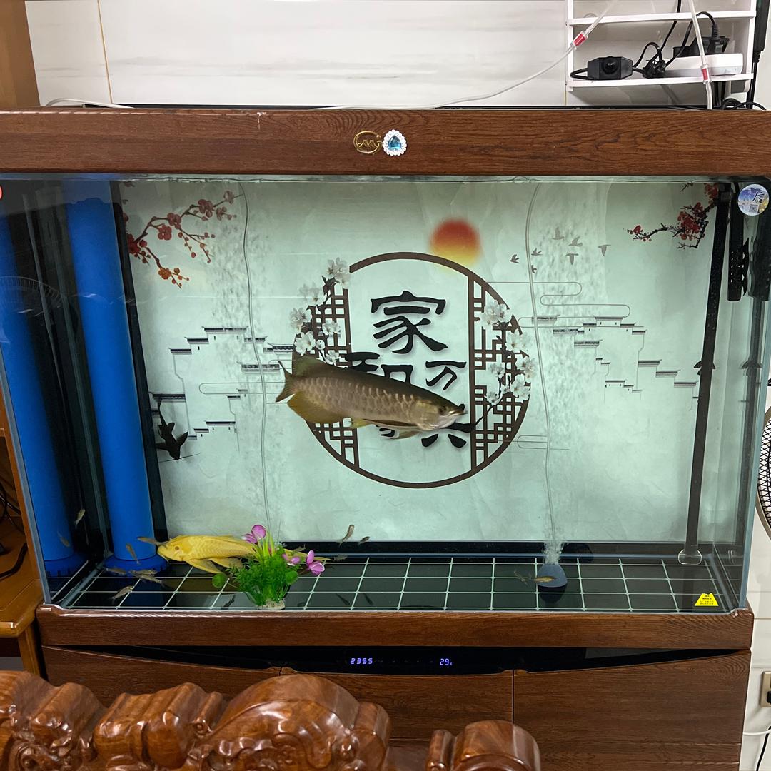 锋洲永恒电子企业店