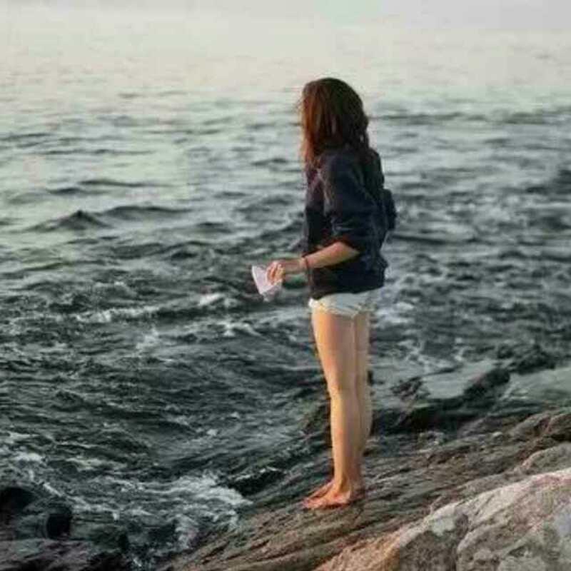 梦蝶