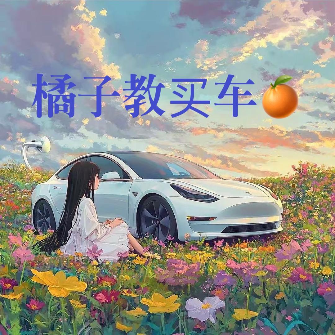 橘子教买车