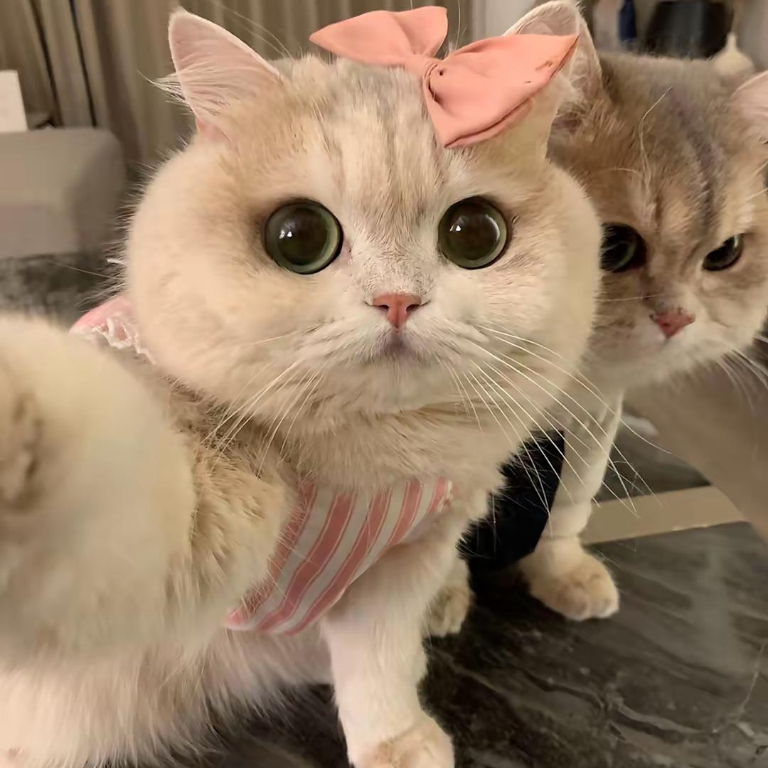 小鬼