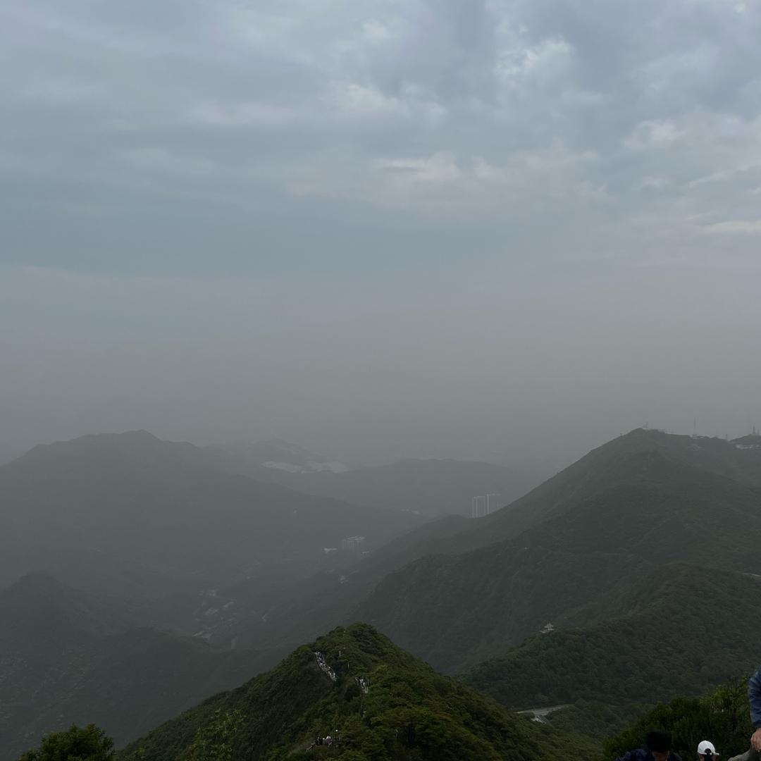 雾漫漫