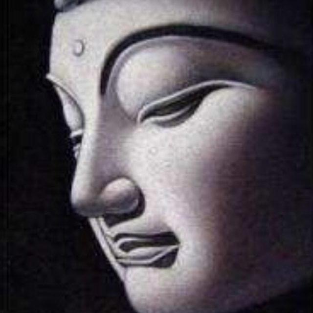 🐉云谷💫智行1️⃣