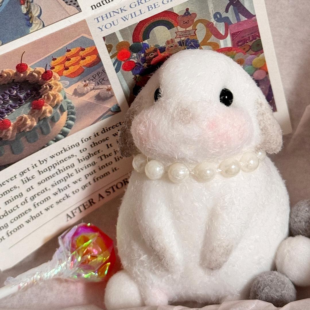 济南人民学校侯老师