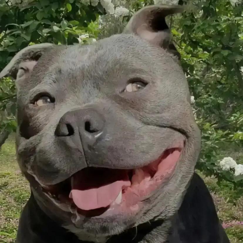 洗衣液（言身寸）