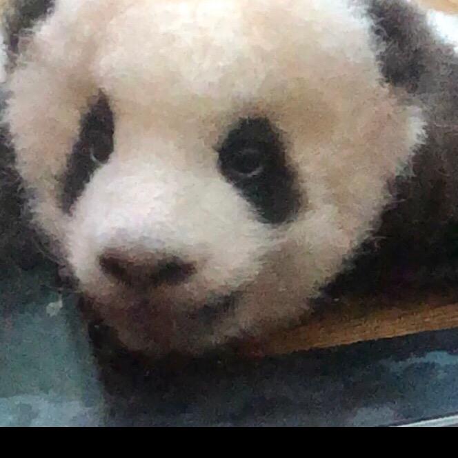 啊啊啊啊睡不着！