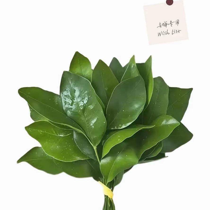 再无