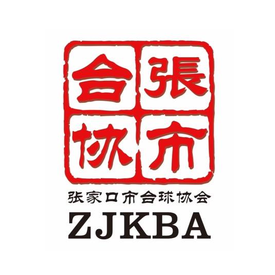 张家口市台球协会