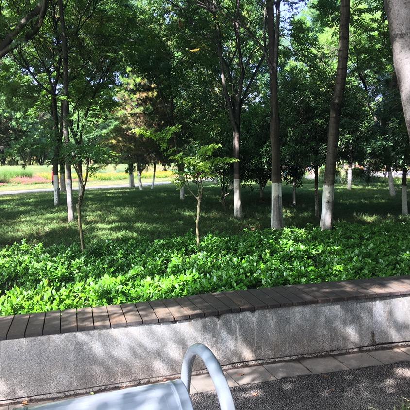 我家有个米老鼠