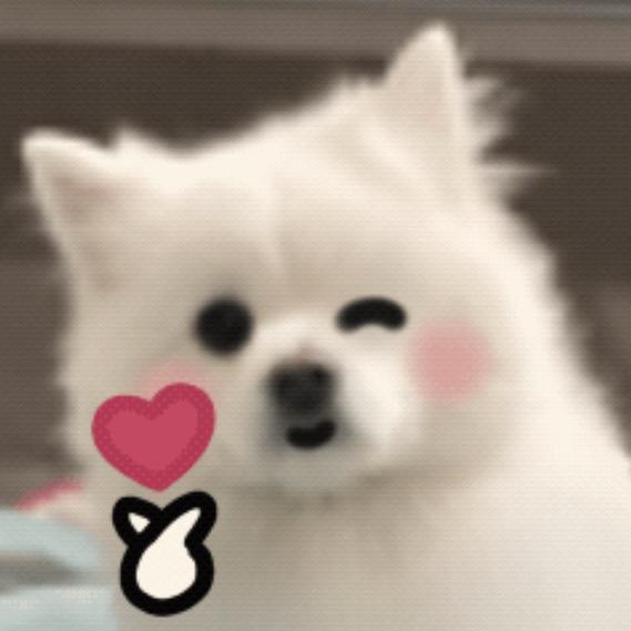 琳琳