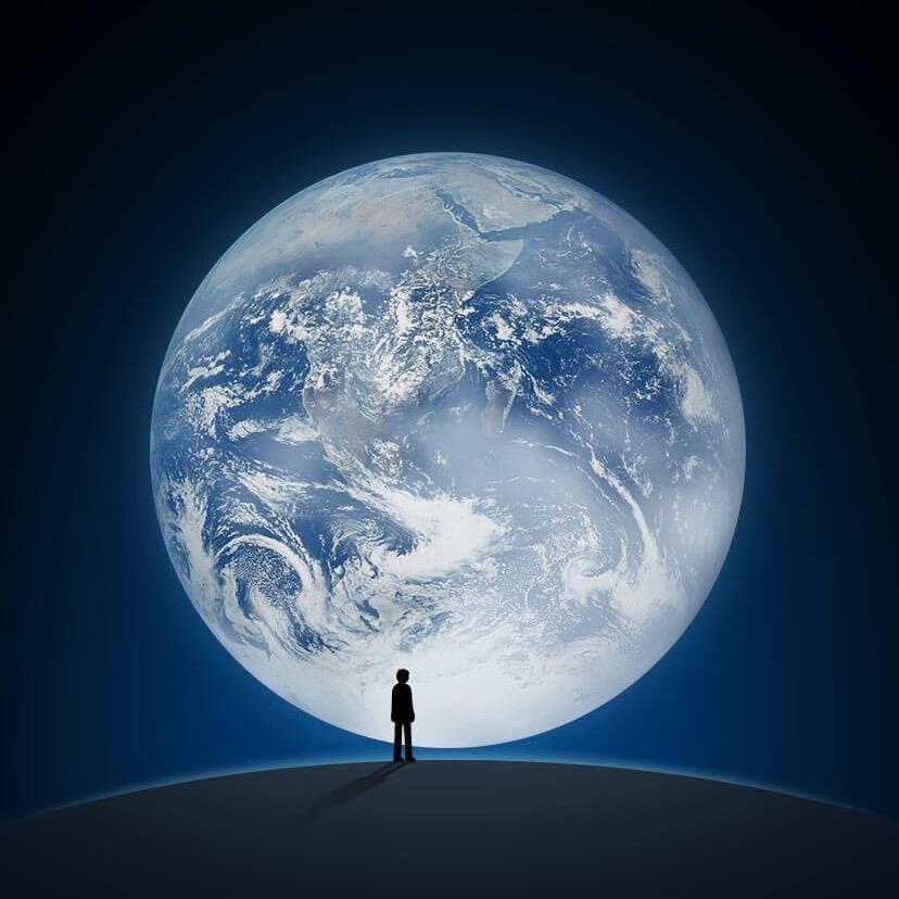 犇腾：牛.羊.肉