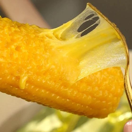 东北糯玉米源头优选🌽