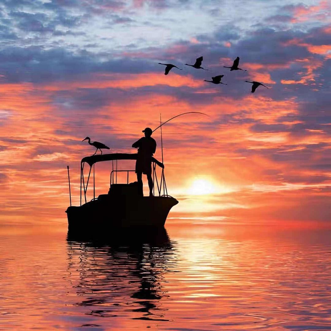 打气鸭（莲湖路店）