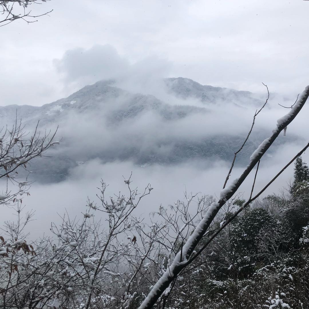 纸飞机