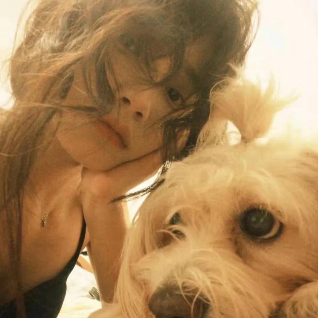 玖哥千川（一点森林）