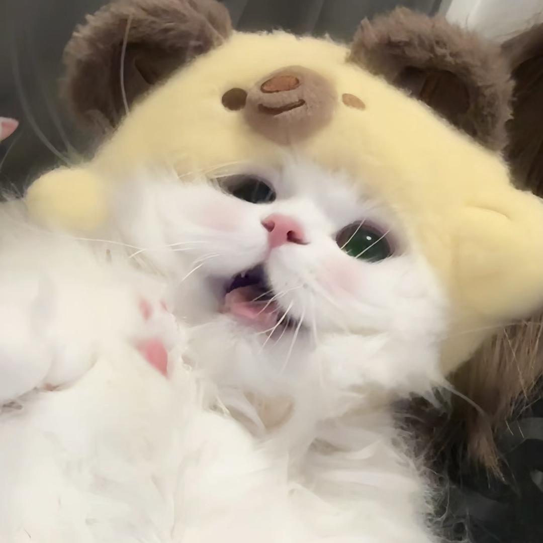 你脑子才有病
