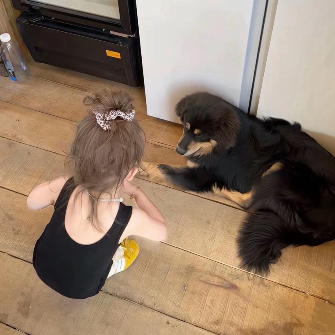 卖萌被打歪的门牙