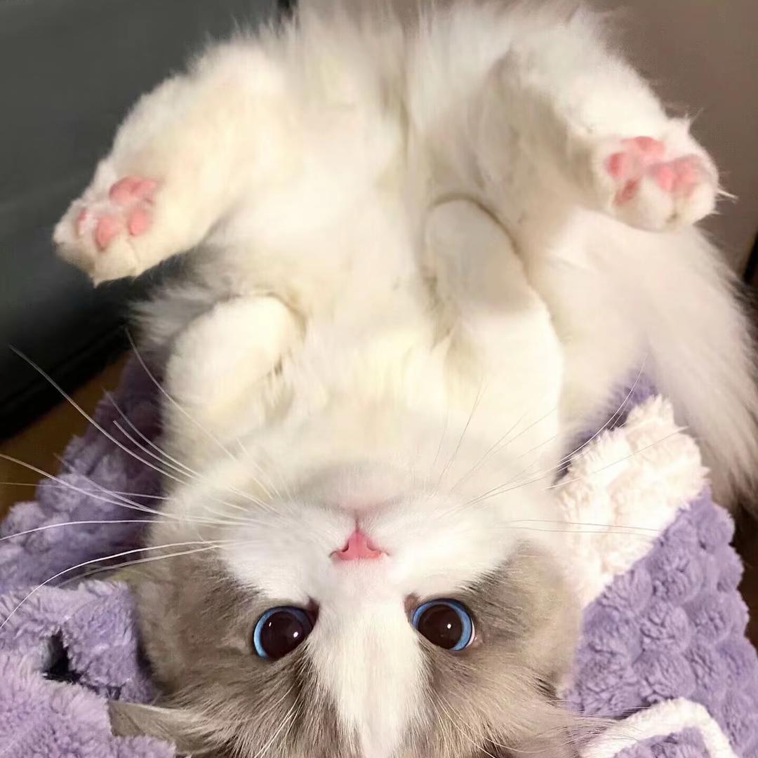 📞📞📞⏰⏰⏰