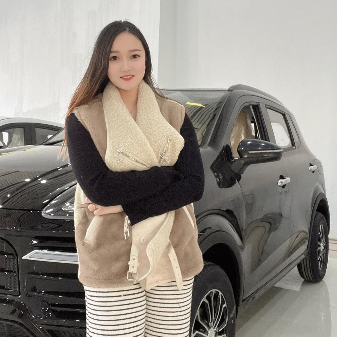 新能源低速代步车厂家1