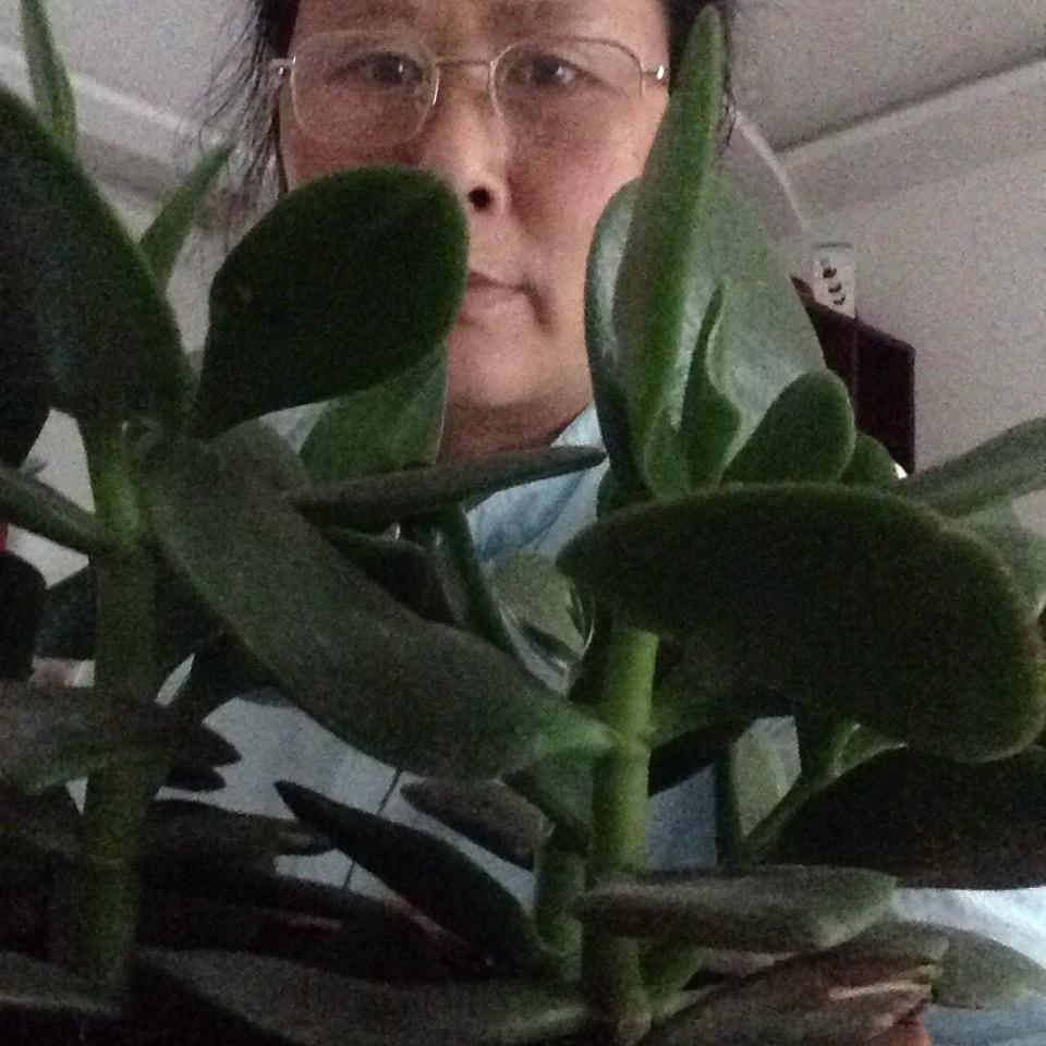 潘   潘